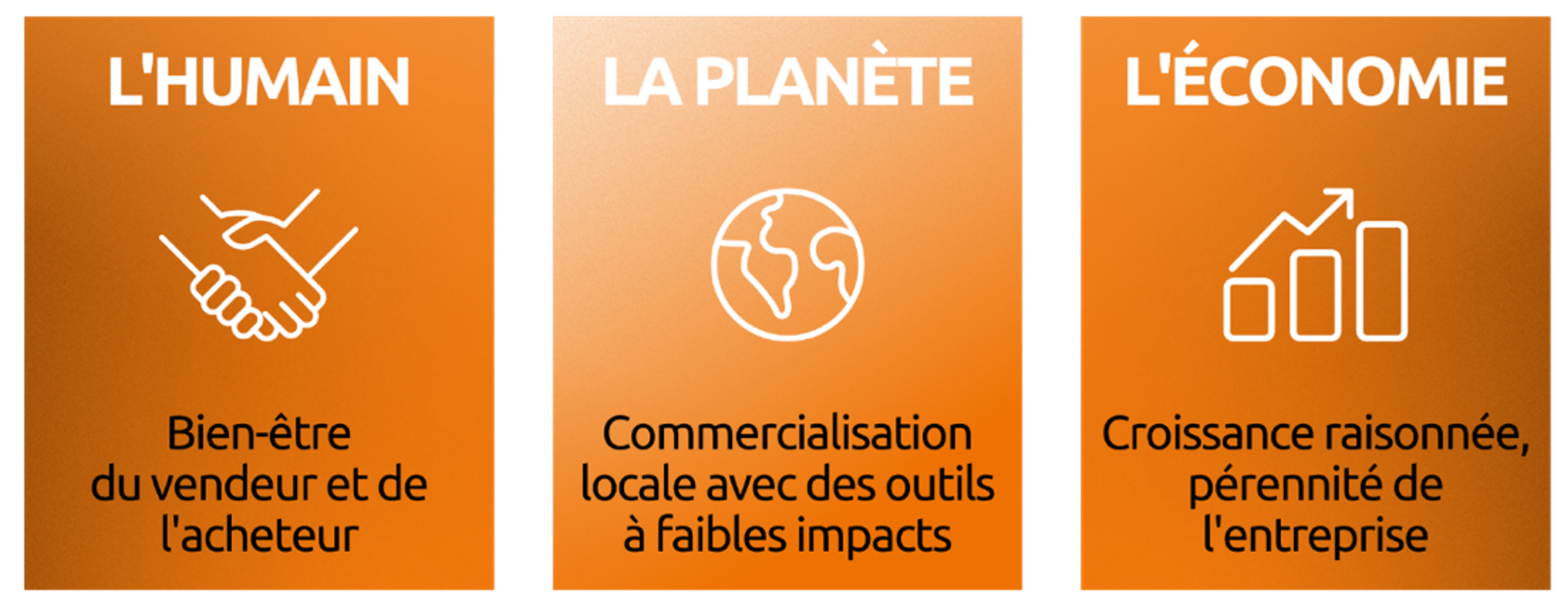 Infographie représentant les 3 piliers du développement durable